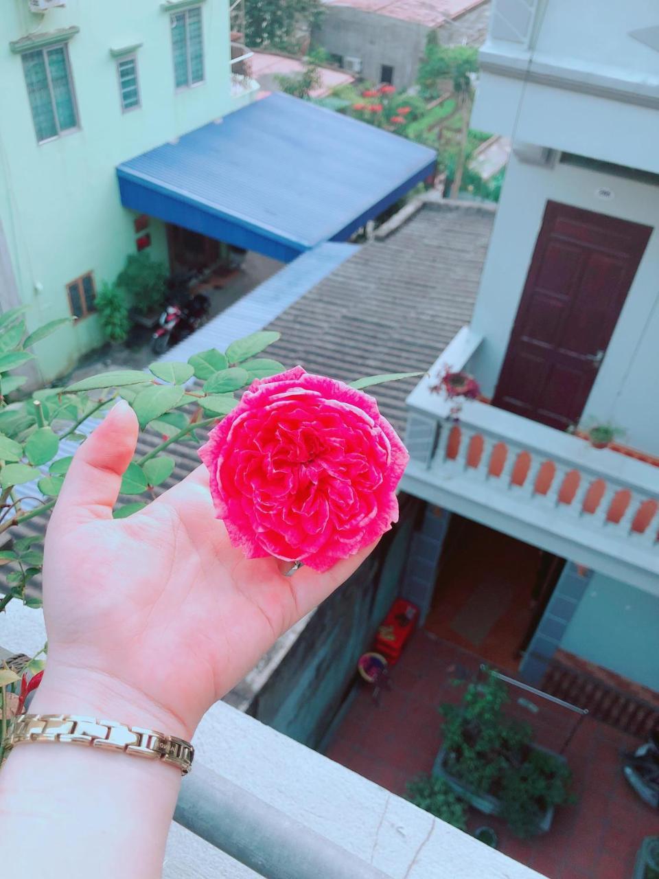 Pi'S Homestay Catba Dong Khe Sau Esterno foto